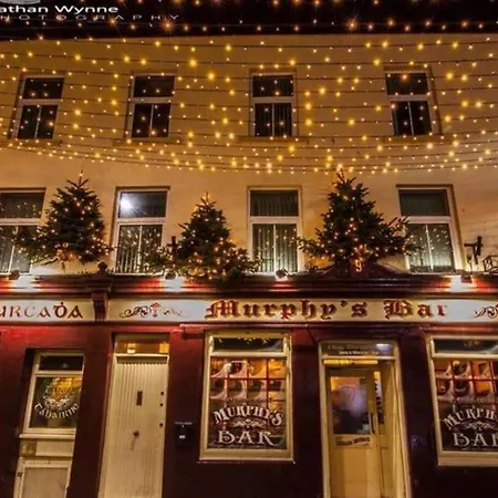 Apartament City Duplex Galway